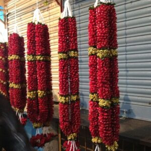Wedding Jaimala Varmala